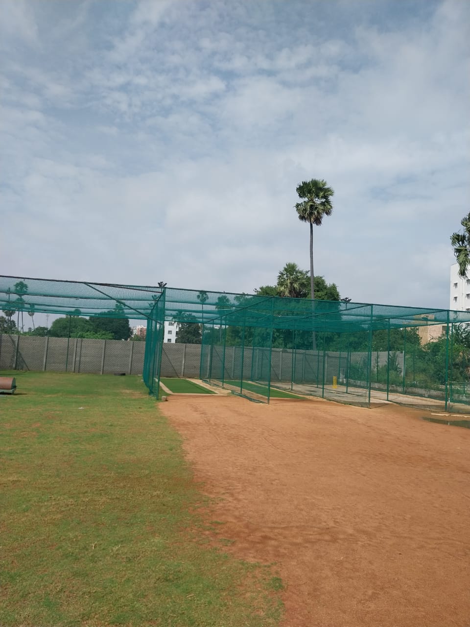 Ground Image 6